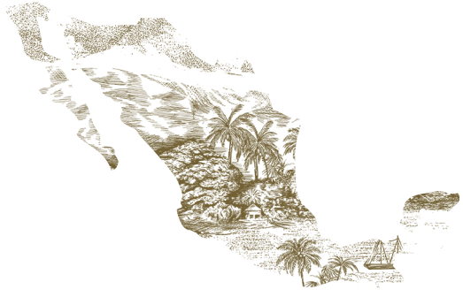 Ethically made | Palapa